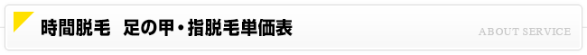 時間脱毛 足の甲・指単価表