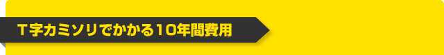 T字カミソリでかかる10年間費用