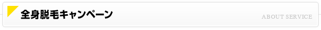 全身脱毛キャンペーン