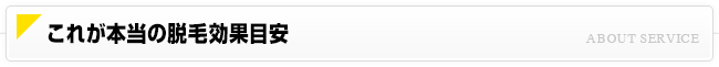 これが本当の脱毛効果目安