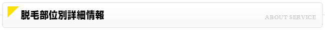 脱毛部位別詳細情報