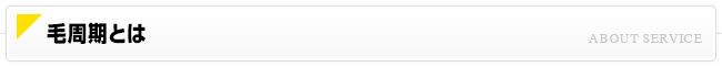 毛周期とは