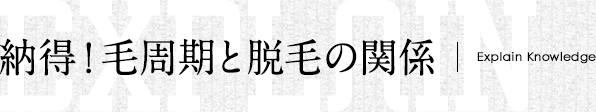 納得！毛周期と脱毛の関係