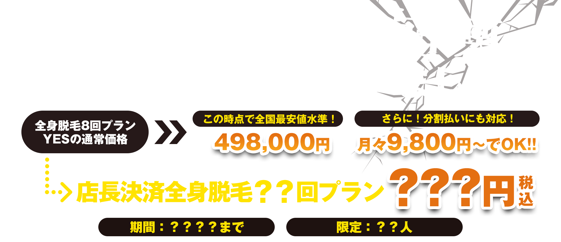 店長決済 全身脱毛??回プラン