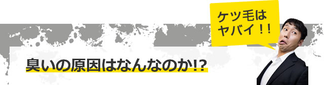 ヤバイ臭いの原因はなんなのか!?
