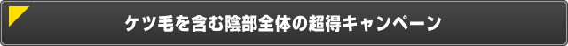 ケツ毛を含む陰部全体の超得キャンペーン