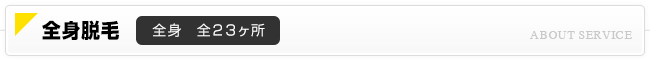 全身脱毛