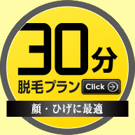 30分 脱毛プラン