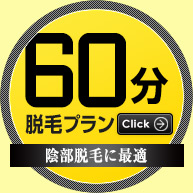 60分 脱毛プラン