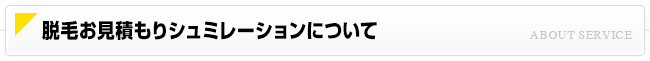 脱毛お見積もりシュミレーションについて