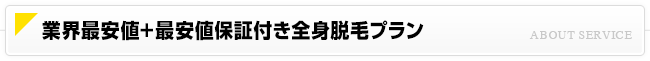 業界最安値+最安値保証付き全身脱毛プラン