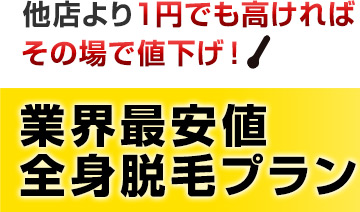 業界最安値 全身脱毛プラン