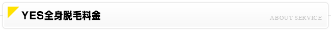 YES全身脱毛料金